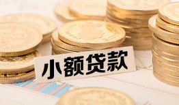 成都25空放-成都25个人短借-成都25身份证小额贷款